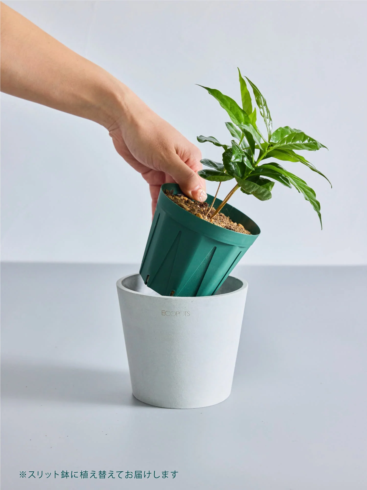 Product image 31