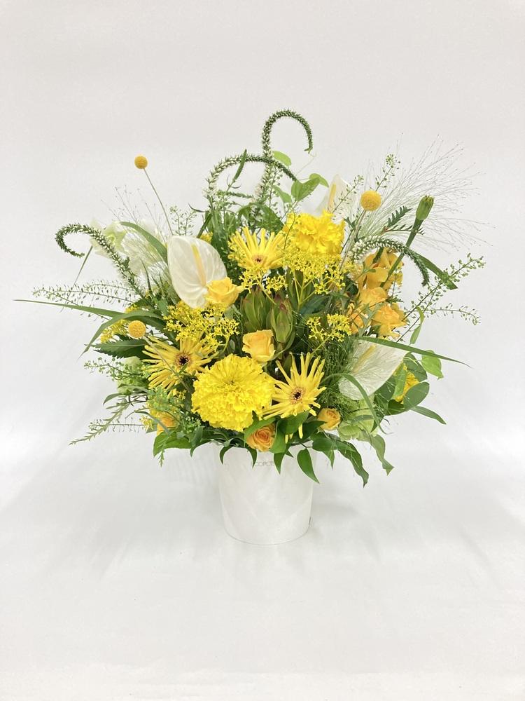 Product image 39