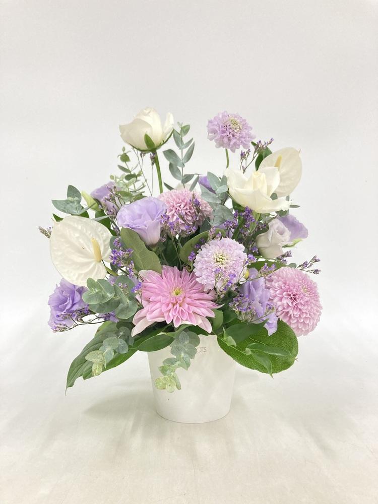 Product image 28